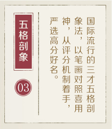 玉树起名流程三
